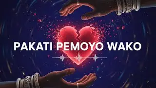 Pakati Pemoyo Wako 💔 | A Shona Song About Lost Love & Missing You