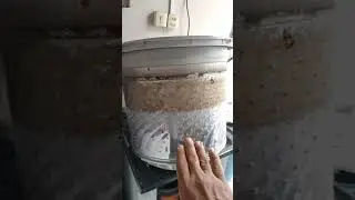 #shortshorts OLHA DEPOIS QUE TIREI O CESTO DA MÁQUINA DE LAVAR 😱