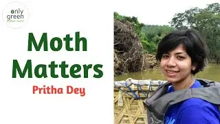Moth Ecology | Ecosystems | Insect Conservation | Pritha Dey | Only Green