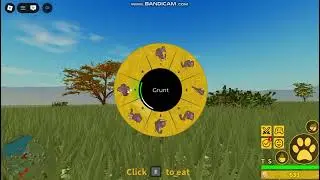 SL Experience, GOT ELEPHANT FINALLY