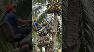 #contentcreator