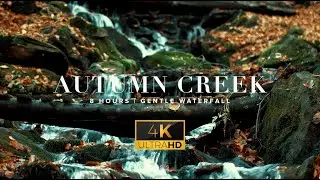 AUTUMN CREEK  (4K UHD) | Gentle Waterfall - 8 Hours - Relaxing Nature Sleep Sounds - Meditation ASMR
