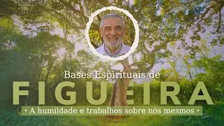 TRIGUEIRINHO | A humildade e trabalho sobre nós mesmos