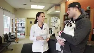 Southglen Veterinary Hospital - Short | Winnipeg, Manitoba