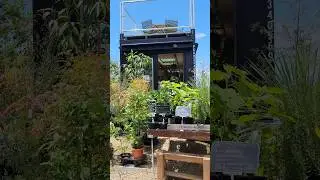 大阪岸和田ワタワン🌵WHATAWON