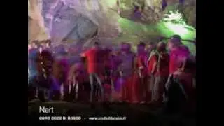 Coro CODE DI BOSCO - Nert