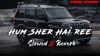 🦁Hum sher hai re dekhle dher hai re slowed reverb | Rangdar ke bhatar bhumihar ji | MahakalChaudhary