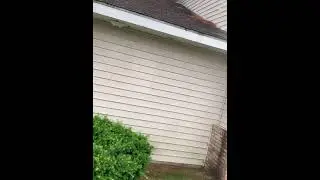#powerwashing #softwashing Washing this filthy apartment complex. Secret Agent