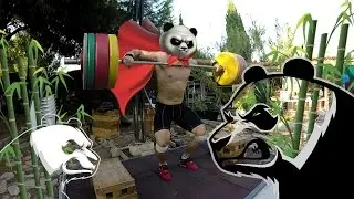 WL // PANDA PULL 90-110%