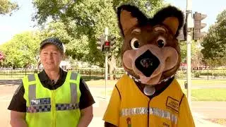 Crossing the road safely with Jeff the Road Safety Dog