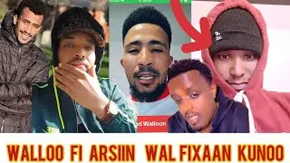 Jollen walloon arsii tumuu jirtii kun live gubbattii eenyu Addaan haa dhorku