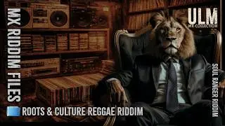 Reggae Sound System Vibes | Soul Ranger Riddim Mix &ndash; MX Riddims Vol. 11