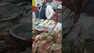 delhi ina nonveg market all in all
