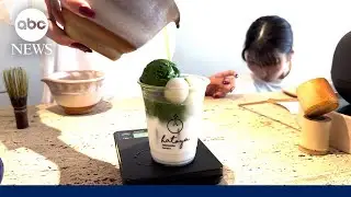 Japan&rsquo;s matcha industry faces uncertainty amid Trump&rsquo;s tariffs
