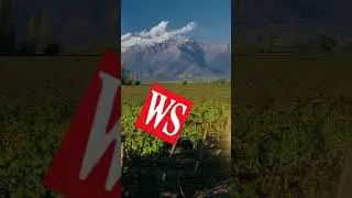 Top 5 Most Expensive Chilean Wine 🇨🇱😍