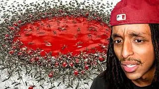 The Deadliest Bugs That Only Eat Blood...