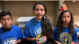 School Activities at Victoria Avenue Elementary