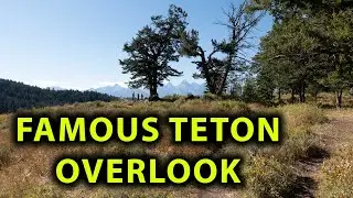 Hiking Alone to a Famous Grand Teton Overlook - Wedding Tree, 4K UHD