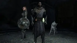Vigilant Skills | Let's Play Skyrim