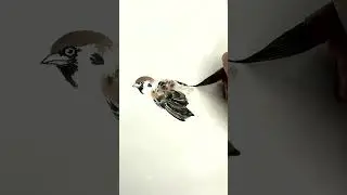 #chinesepainting #inkpainting #chineseart #sparrow #brushpainting #sparrowpainting #国画 #水墨画 #国画教程