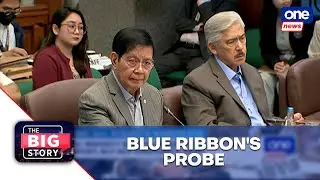 Blue Ribbon probe must be directed by evidence &mdash; Marcoleta