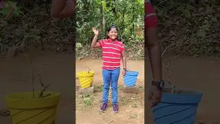 ആനക്കളരി കാണാം 😊#kids #travel #malayalam #youtube #shorts #information #trending #viral #yt #animal
