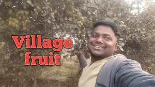 Village fruit vlog || village fruit || village fruit eating || village fruits video || village vlog