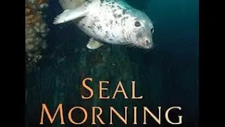 SEAL MORNING - The #Movie
