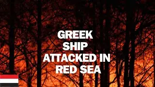 Missile Attacks on Cargo Ship in Red Sea Amid Yemen Conflict. #yemen #houthis #missile #cargoship