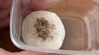 Семена Табака Вирджиния Голд всходы (эксперимент)