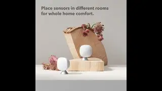 ecobee Smart Sensor 2-Pack Review &ndash; Comfort, Security & Energy Savings!