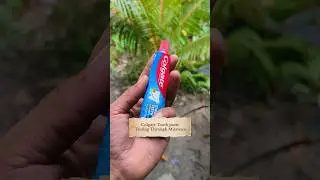 Colgate Toothpaste Testing Through Microscope 🔬🤯 #experimnent #science #shorts #ytshorts