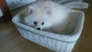 얌얌 굿