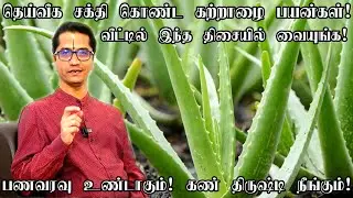 வீட்டில் லட்சுமி கடாட்சம், அதிர்ஷ்டம் தரும் கற்றாழை செடி | indian astrology predictions Aloe Vera