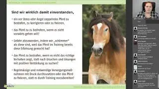 Ethik im Pferdetraining