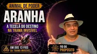 Aranha como Animal de Poder | A tecel&atilde; do destino na trama invis&iacute;vel