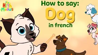 🐶 French Word for Dog | Chien & Chienne Explained for Kids 🐾