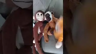 O Reino Macacau