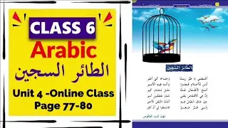 Class 6 Arabic | Unit 4 - الطائر السجين Page 77-80 Online Class |  New Text Book 2025
