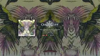 Guy Lalibert&eacute; & Samuel Laflamme  - Connection Feat. The Frog Collective (Soul of Zoo Remix)