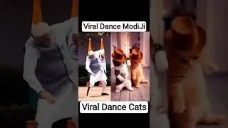 😱Viral Cat Dance on Viral Music With AI Modiji #shorts #modiji #aivideo