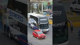 Transportes SUR PACIFICO 🇵🇪 #traileros #trucks #buses #bus #viralvideo #viajes #viralvideo #video