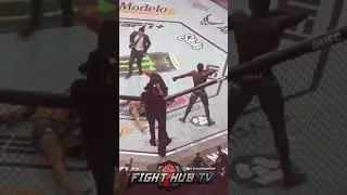 ISRAEL ADESANYA TAUNTS ALEX PEREIRA WITH BOW AND ARROW CELEBRATION AFTER KO WIN!