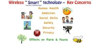 Havas - Discussing the 5G Experiment, November 2019