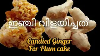 How to make Candied Ginger For Plum Cake | ഇഞ്ചി വിളയിച്ചത് Malayalam @ragasudha2853