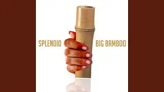 Big Bamboo (Radio Edit)