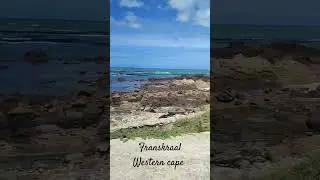 #ocean #traveling #adventure #westerncape #southafrica