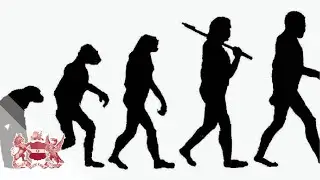 Doctor Darwin: Is Evolutionary Medicine the Future of Health