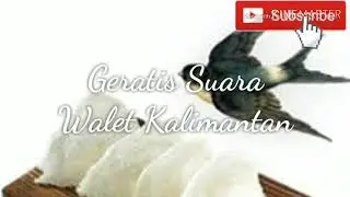 SUARA PANGGIL BURUNG WALET MP3 | BINTANG 7 | SUARA WALET TV