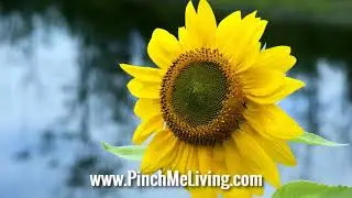 Affirmations Mantra for Letting Go of Needing Validation & Approval